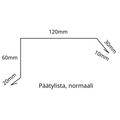 Päätypelti/päätylista 1,75m